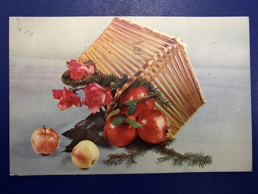 Композиция из цветов.Фото Е.Игнатович.1969 г.