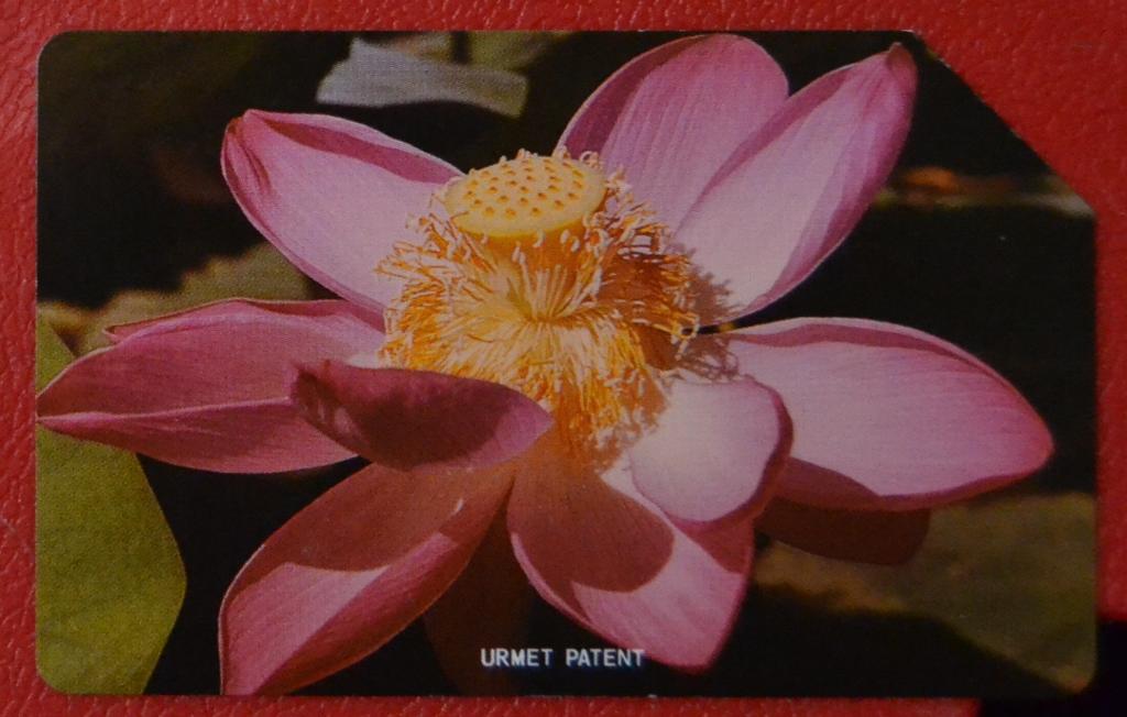 Телефонная карта Астрахань - Цветы Лотос 25 ед Урмет - 44