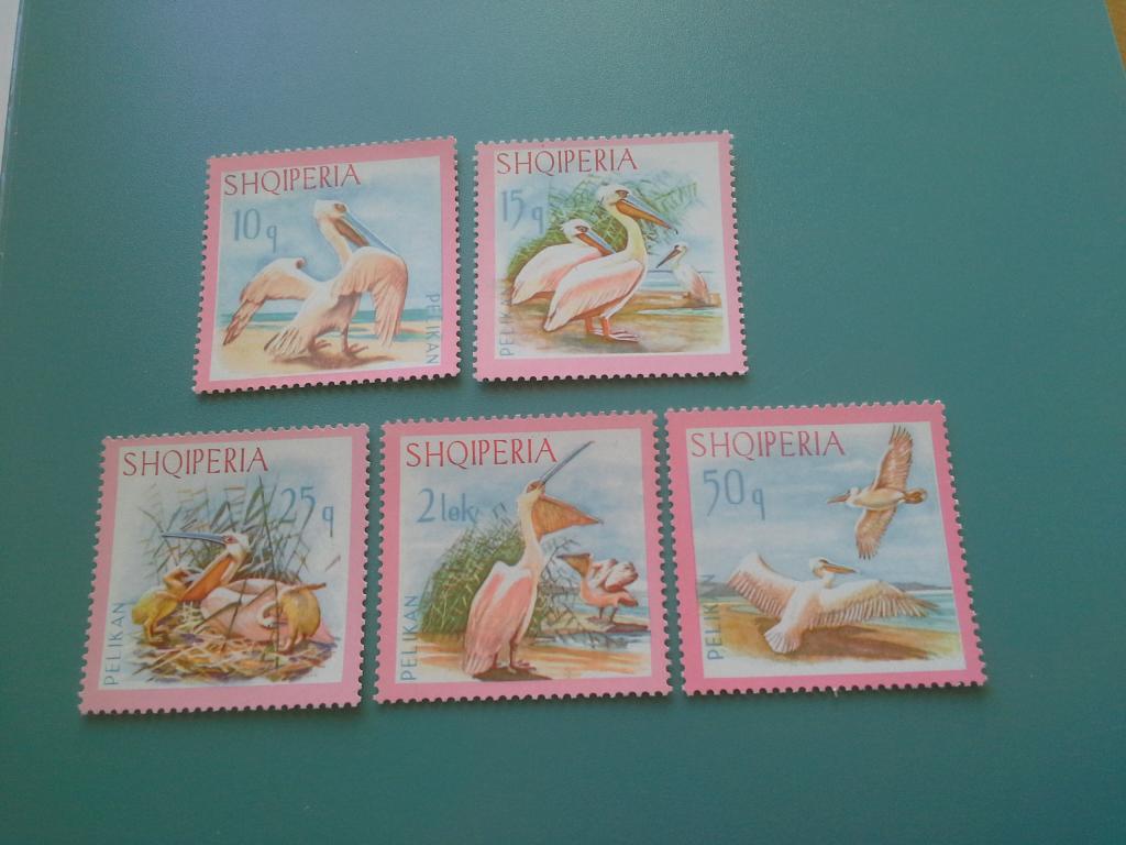 Европа, Албания, 1967 г., Птицы/Пеликаны (полная серия, **)