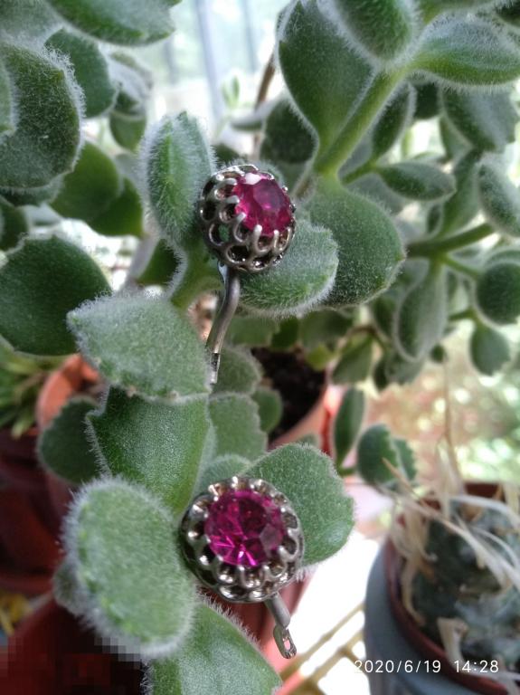 Серьги СССР. Мельхиор. Рубиновое стекло. 