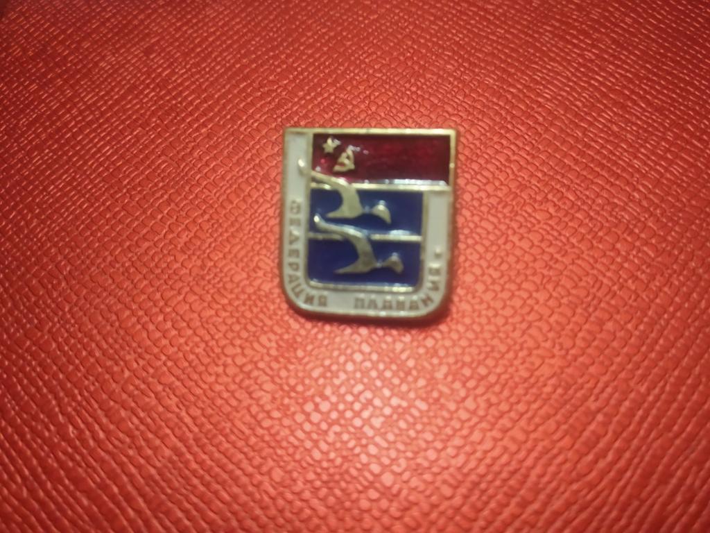 СССР Спорт Федерация плавания знак значок