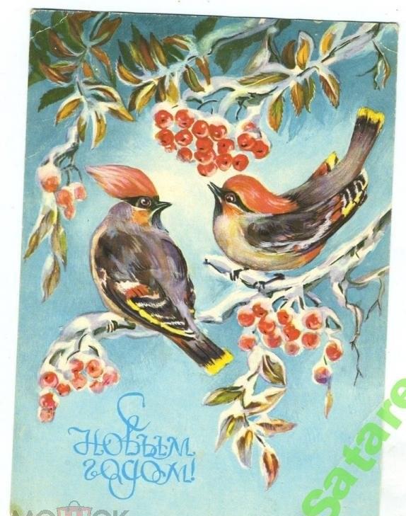 С Новым Годом - Кулиева Л - 1979 год (213)