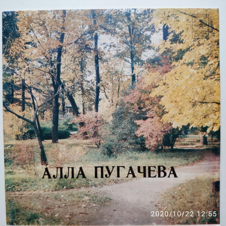 Алла Пугачева Миллион роз миньон  (новая)