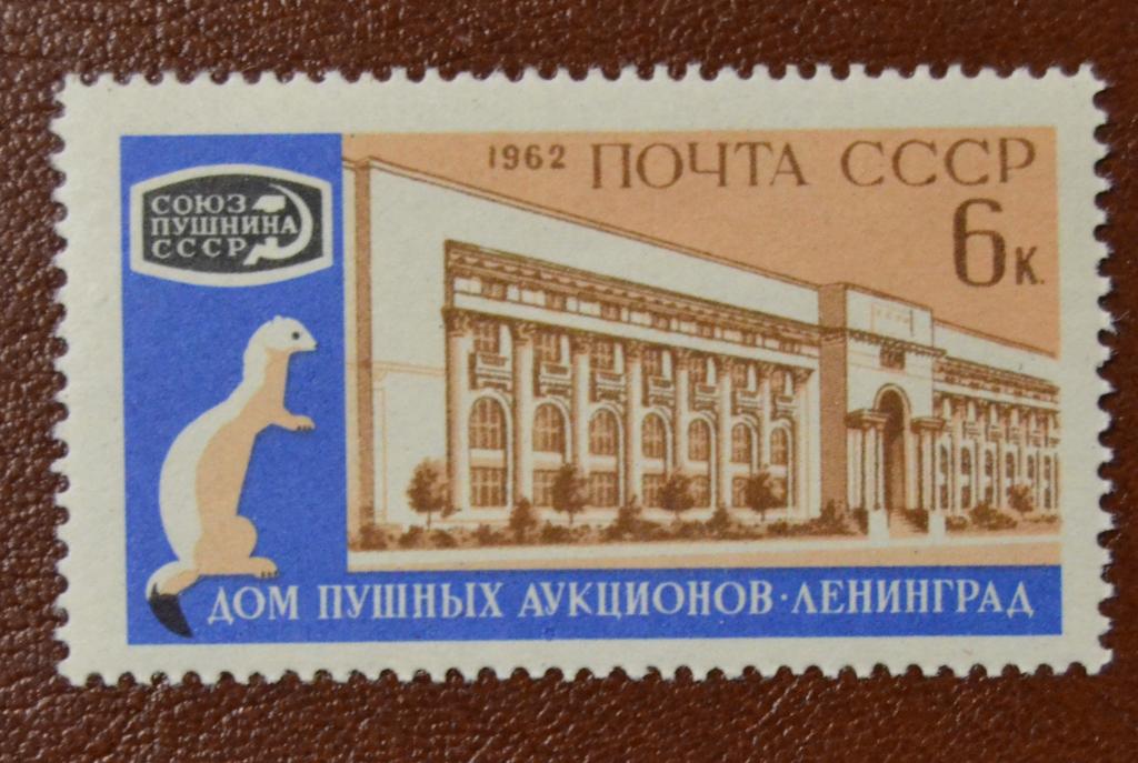 СССР 1962 год Международный пушной аукцион Дом пушных аукционов Ленинград Горностай MNH