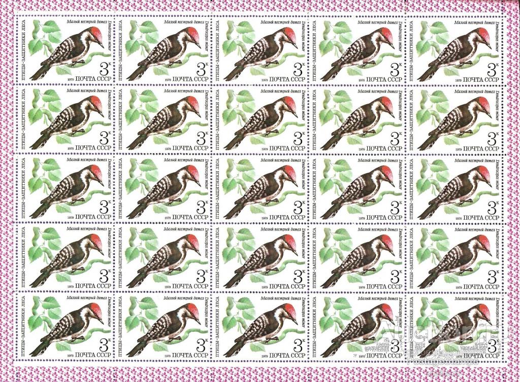 1979 СССР 5002 (Z 4934) Птицы. Дятел. Лист** MNHOG (ЧБН)