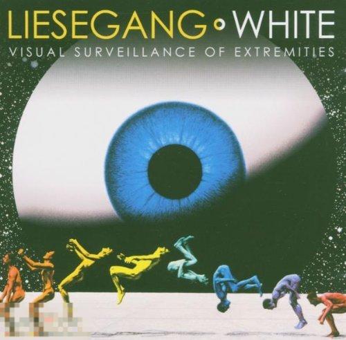 Liesegang White / Visual Surveillance of / EU