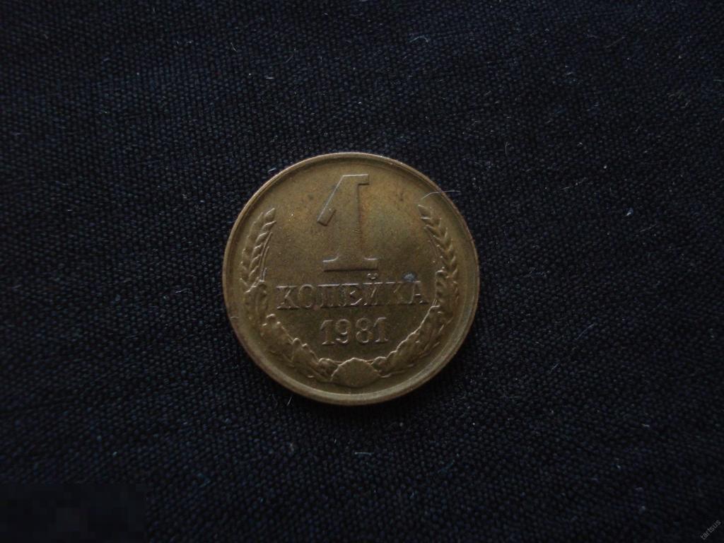 1 копейка 1981 г. не чищенная.