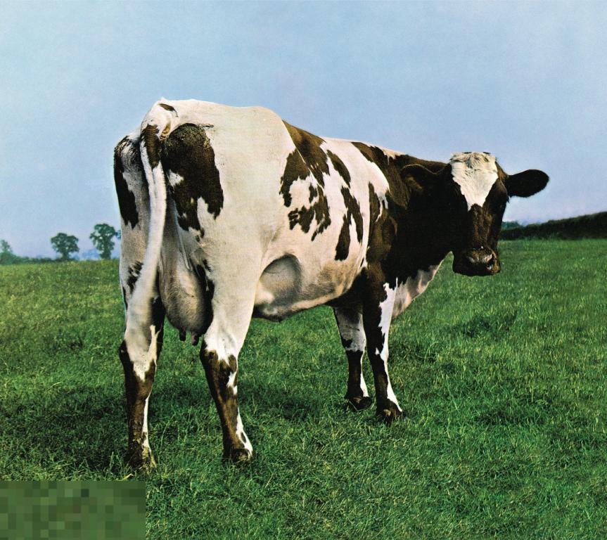 Pink Floyd / Atom Heart Mother / USA DIGIPACK 