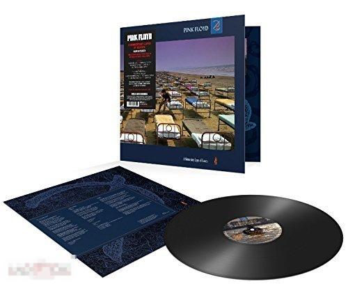 Pink Floyd / A Momentary Lapse Of Reason 87 / EU LP 