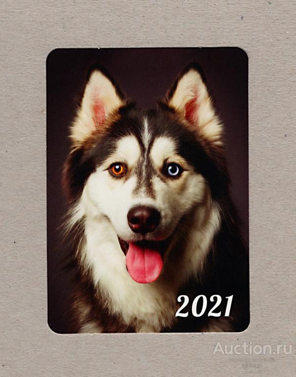 Календарь карманный, Россия, 2021, домашние животные, собака, пес, язык, красивые глаза, взгляд