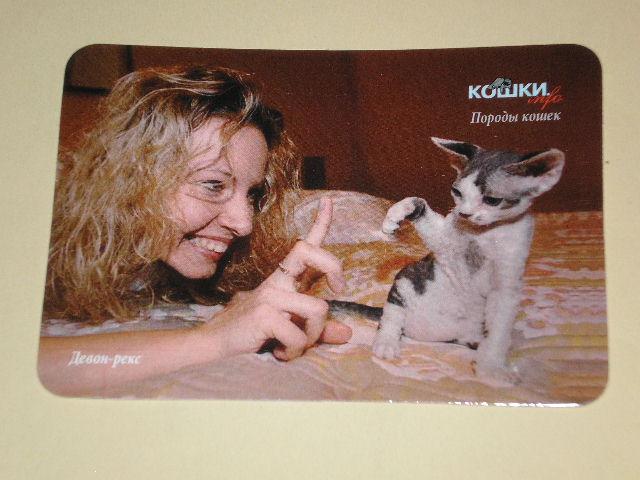 2009 КОШКИ Девон-рекс Питомник (476)