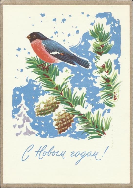 1964. А.Антонченко. С Новым годом! Птицы. Снегирь. Формат стандарт. Чистая. (1831)