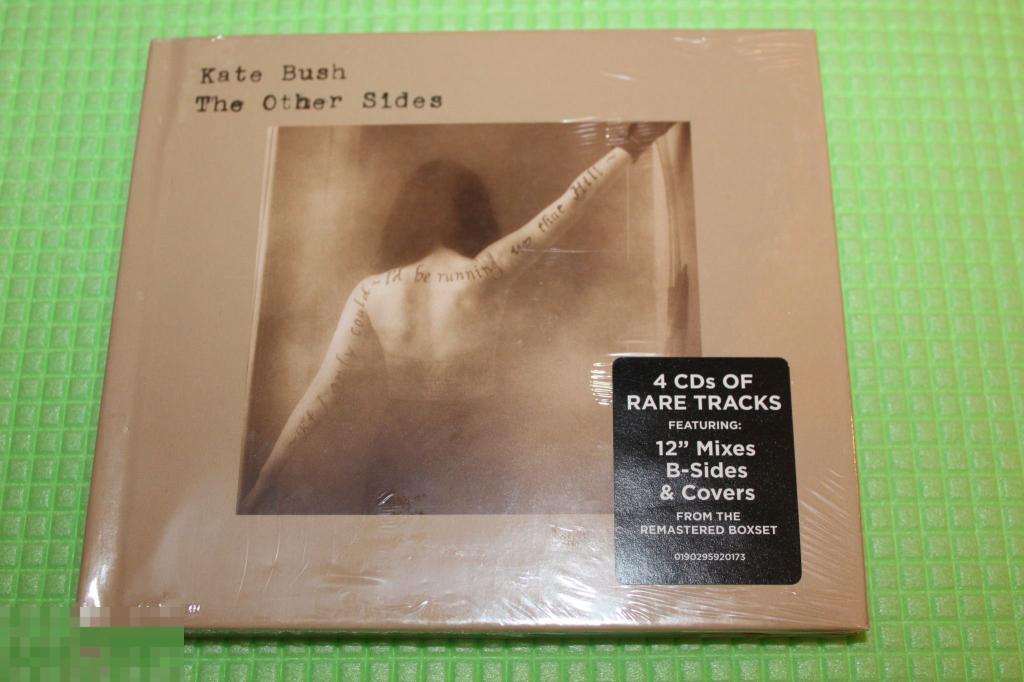 Текст kate bush. Kate Bush 12 Sides. Kate Bush how to be Invisible book. Kate Bush 12 Mixes.