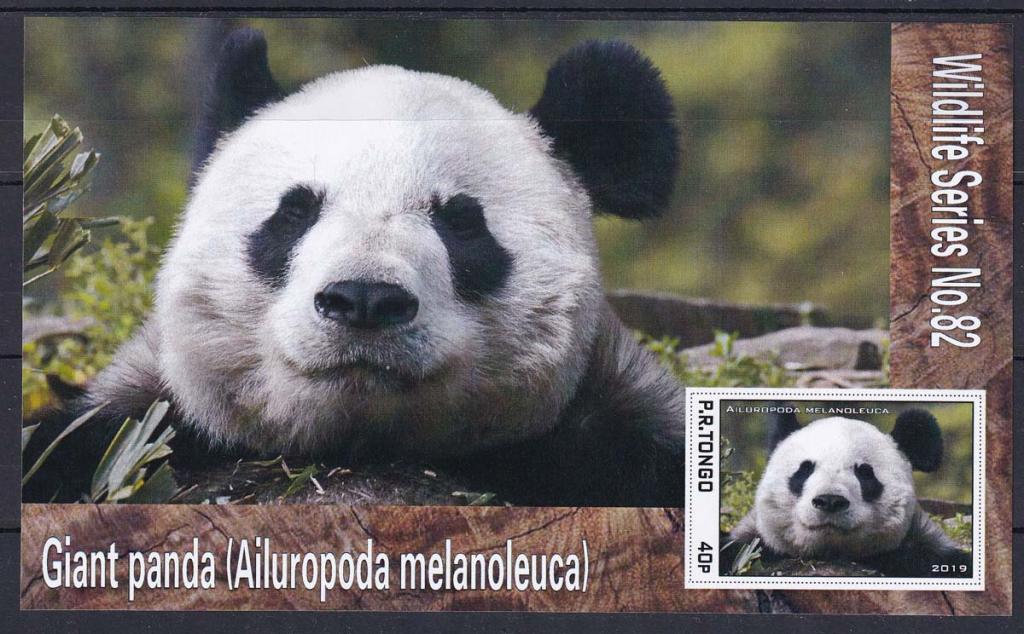 мягкая игрушка панда с бамбуком. панды обнимаются. панда ксиянг. гигантская панда. гигантская панда.