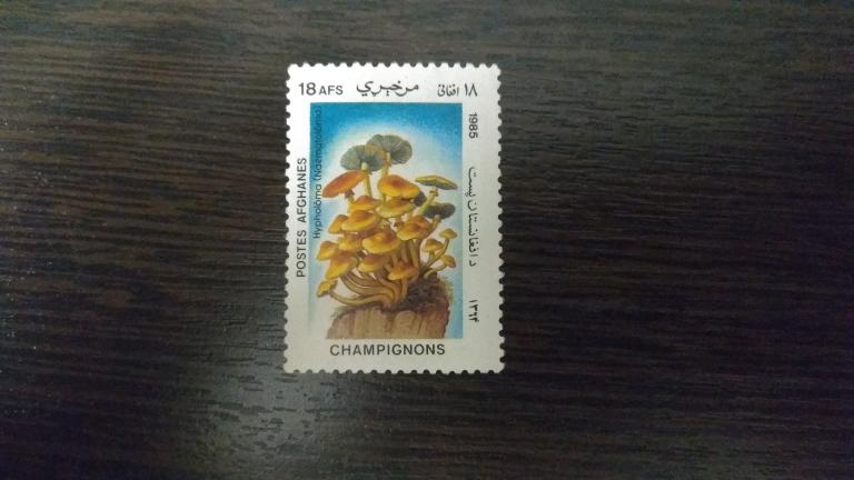 Марки.Флора.Афганистан.1985.Грибы.Чистая.Михель 1,88 евро.Сост.идеальное