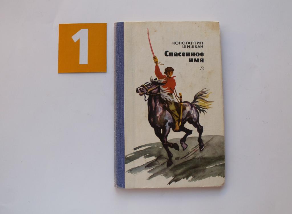 Книга. Спасенное имя. 1983. Шишкан. Детская литература. рисунки Акулова. # 5064.