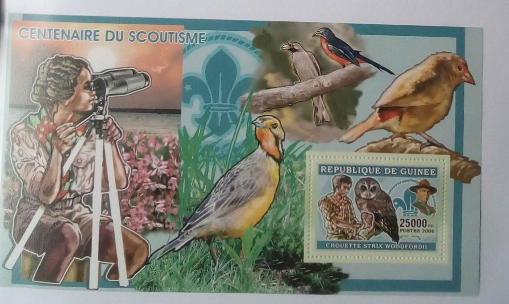 Гвинея 2006. Фауна, птицы. Блок чистый. MNH**