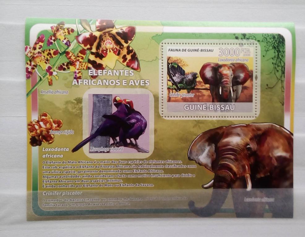 Гвинея Биссау 2008. Фауна. Птицы. Слоны. MNH**