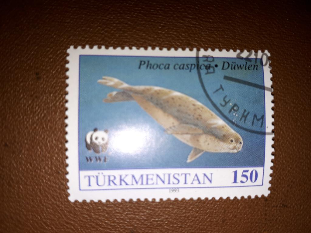 Марка Туркменистана, 1993, Фауна, Каспийский тюлень