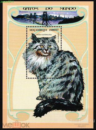Мозамбик 1999 Кошки Кошачьи Домашние животные Фауна блок**