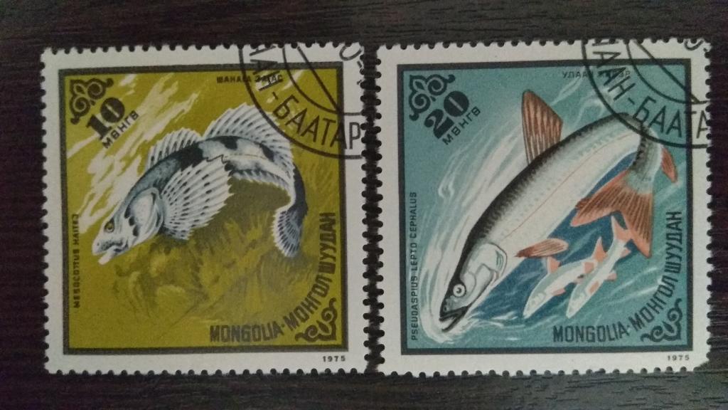 Марки.Фауна.Монголия.1975.Рыбы.Гашеные.Михель 0,60Г евро.Сост.идеальное