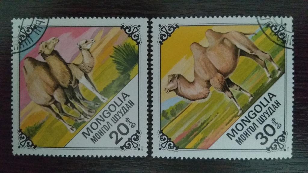 Марки.Фауна.Монголия.1978.Верблюды.Гашеные.Михель 0,60Г евро..Сост.идеальное