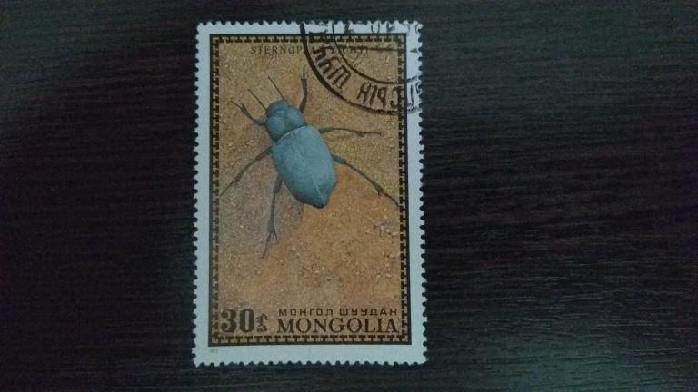 Марки.Фауна.Монголия.1972.Насекомые.Гашеная.Михель 0,30Г евро.Сост.идеальное