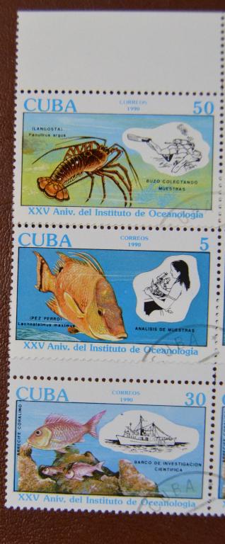 Куба 1990 год  25 лет Институту моря Фауна Рыбы Лангуст Дайвер СТО