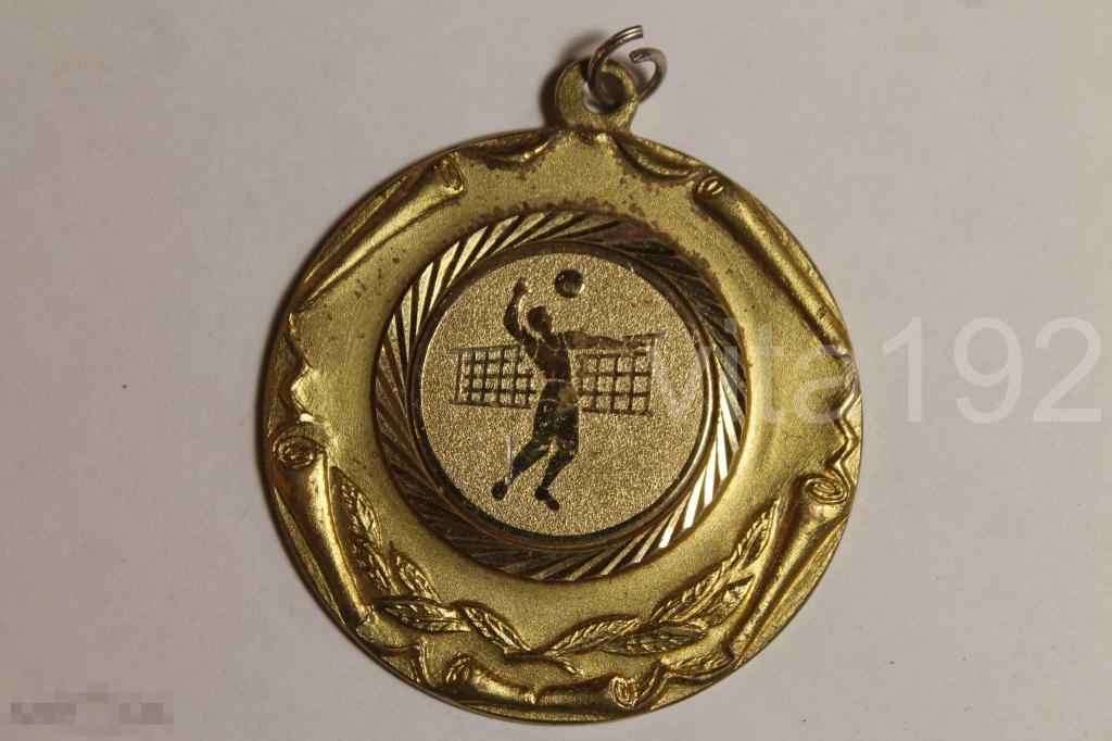 МЕДАЛЬ. ВОЛЕЙБОЛ. БРОНЗА. ПОЗОЛОТА. ОРЕНБУРГ. 