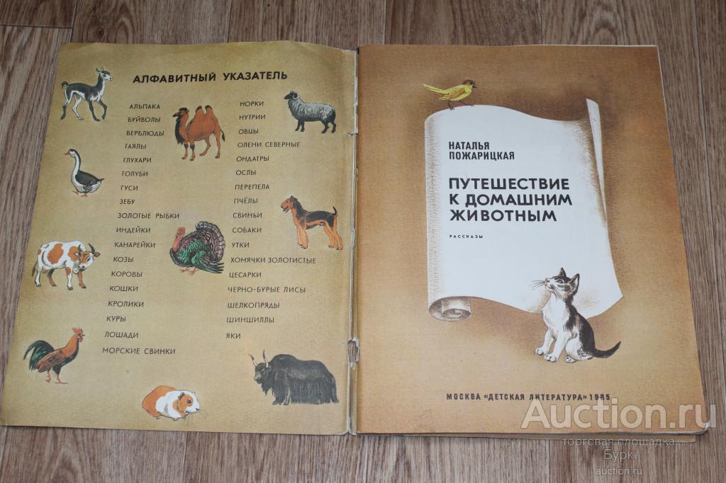 Книги о домашних животных читать. Путешествие к домашним животным. Книга домашние животные. Советские книги о домашних животных.