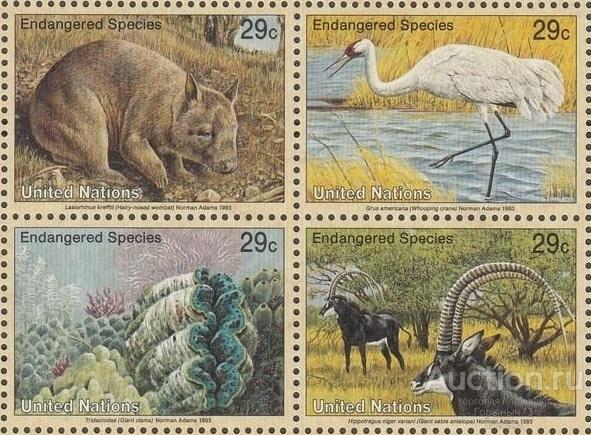 ООН (Нью-Йорк) 1993 пс сц MNH 2е кат