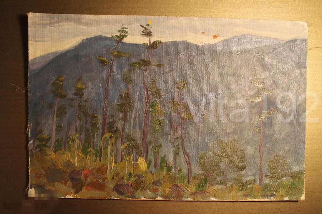 КАРТИНА. ХОЛСТ. МАСЛО. СИБИРЬ НА ОДНОЙ ИЗ СОПОК. АВТОР - В.К. ЖУК. 