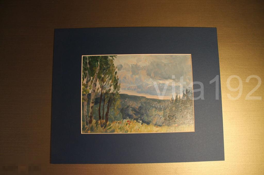 КАРТИНА. ЖУК В.К. МИХАЙЛОВСКОЕ. ЛЕСНЫЕ ДАЛИ. КАРТОН. МАСЛО. 1989 ГОД. ПАСПАРТУ. 