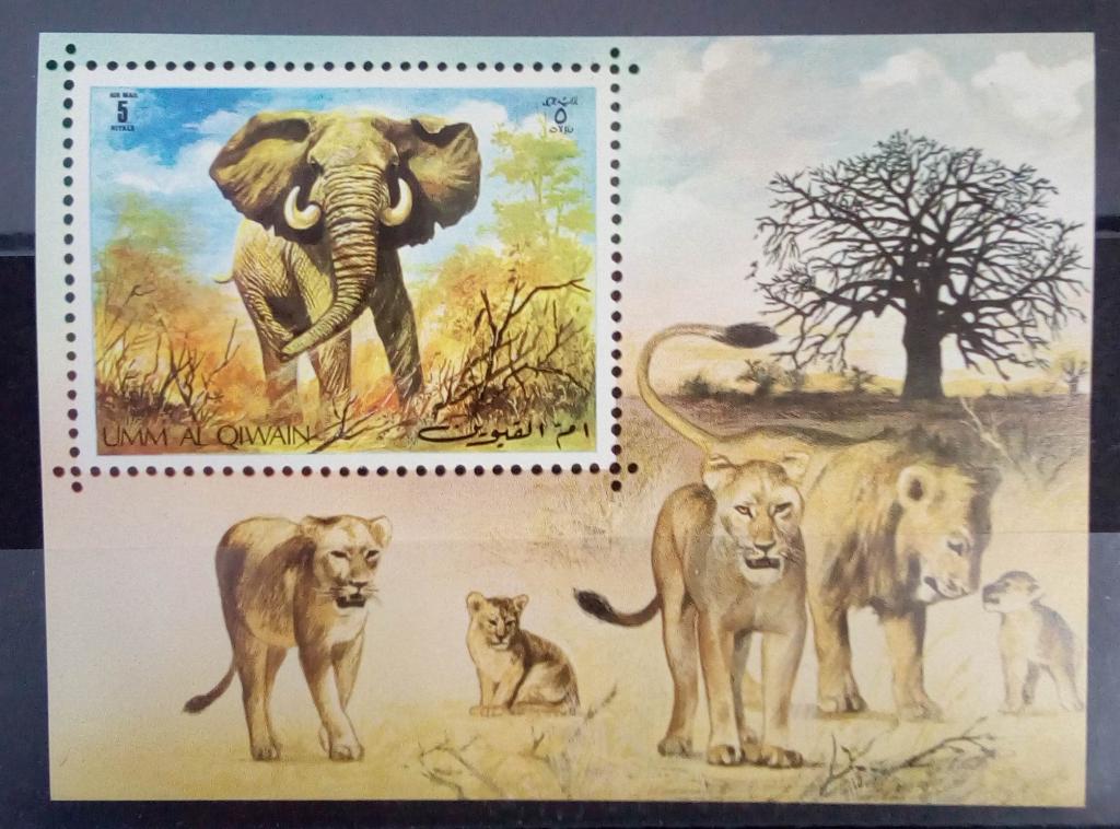 Умм Эль Кайвайн 1971. Фауна. Слоны. Львы. Африка.  Блок чистый. MNH**