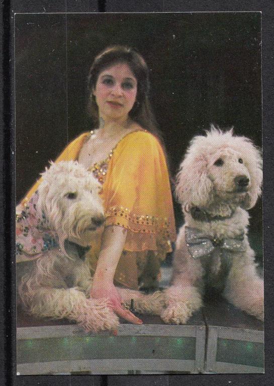1984.  Календарик  карманный.  Цирк.  Фауна.  Собаки.  Галина  Маковей.  Союзгосцирк.