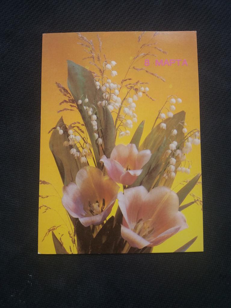 8 марта   1990 год  Дергилева