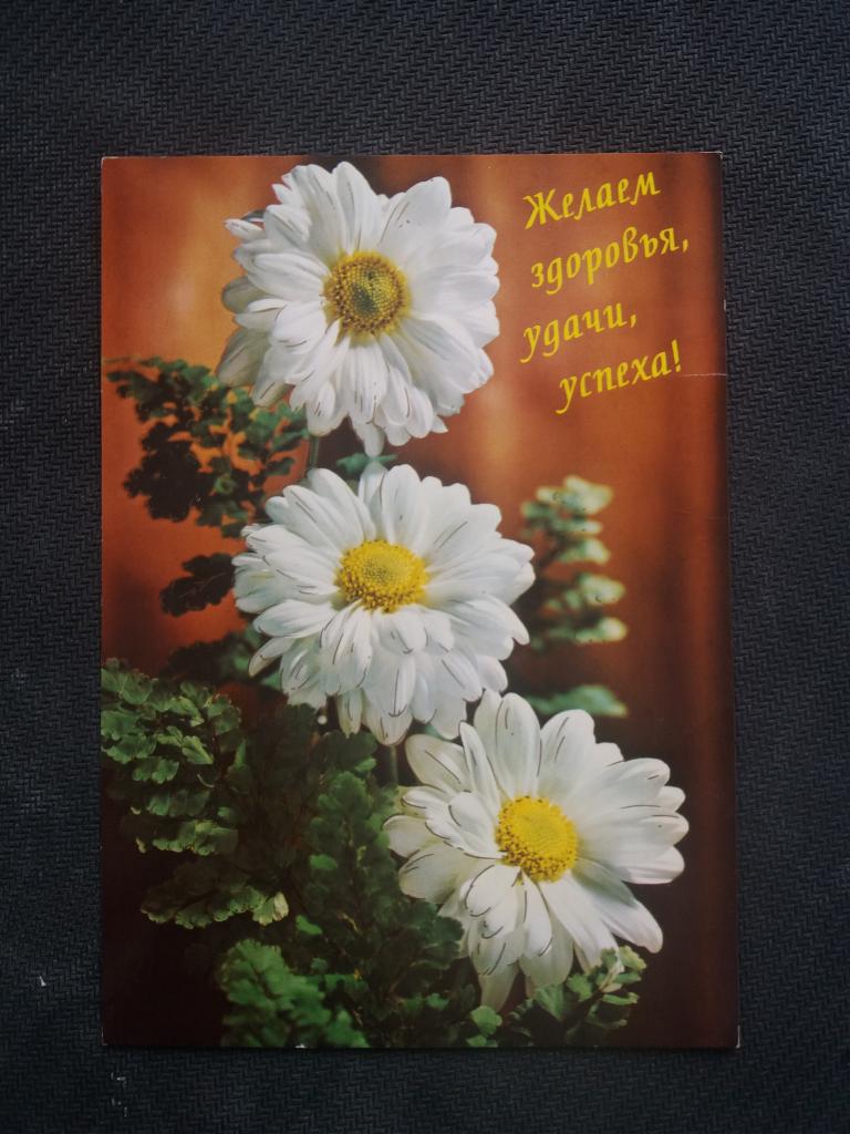 Желаем здоровья , удачи , успеха . 1998 год.