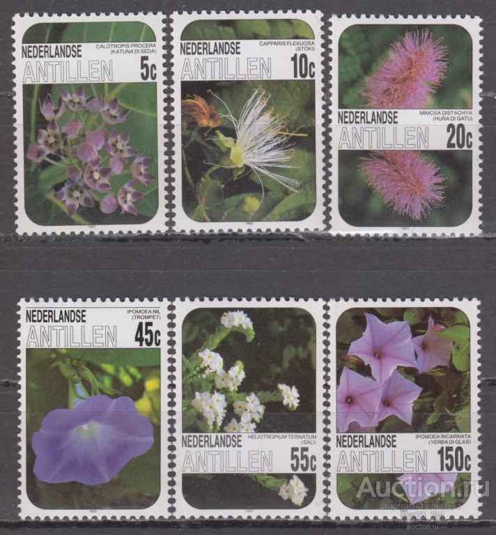 Нидерландские Антиллы 1985 цветы Mi569-574 MNH