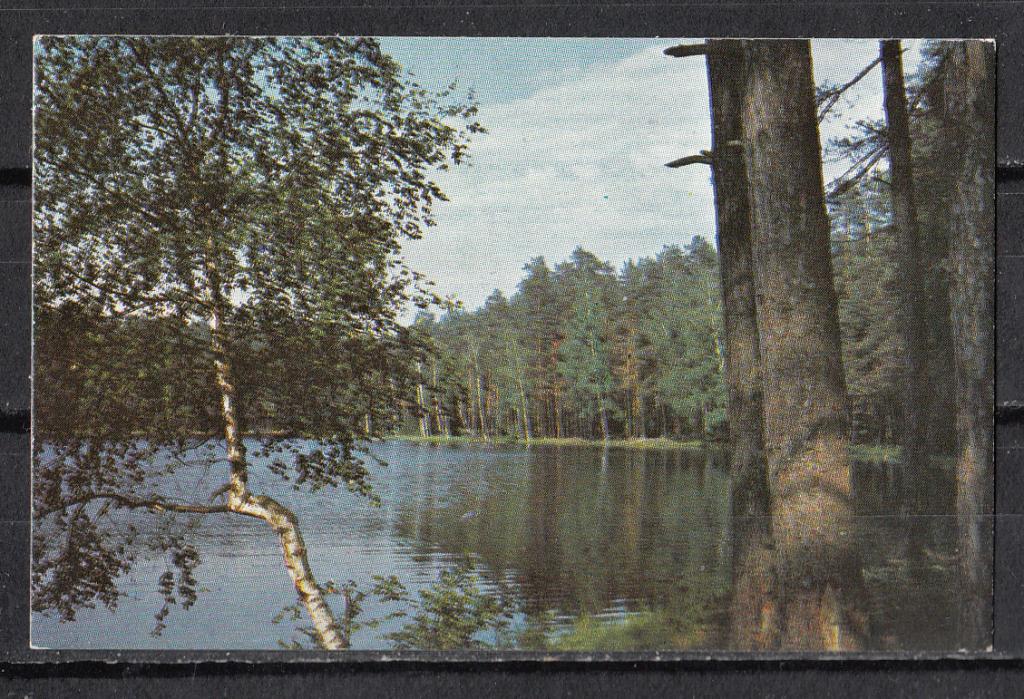 1982.  Календарик  карманный.  Природа.  Флора.  Вид  на  реку.