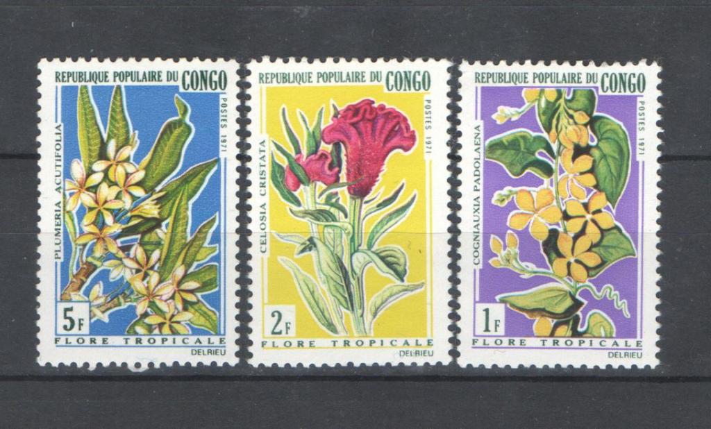 Конго 1971г . Цветы. MNH.