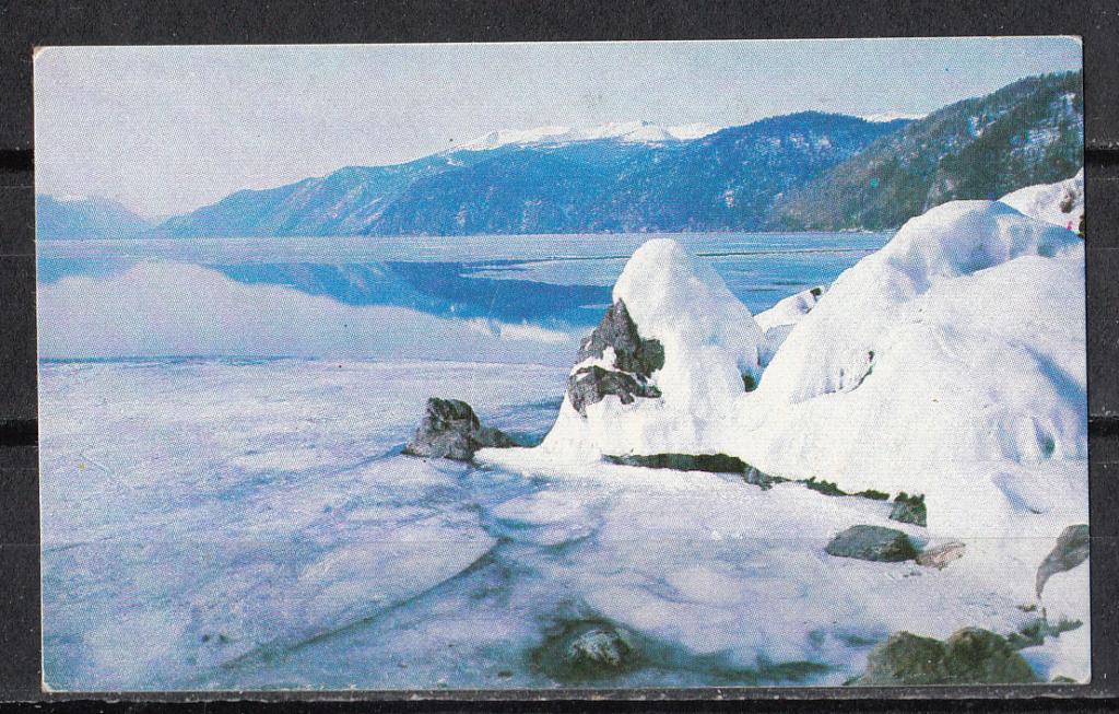 1980.  Календарик  карманный.  Природа.  Флора.  Телецкое  озеро.