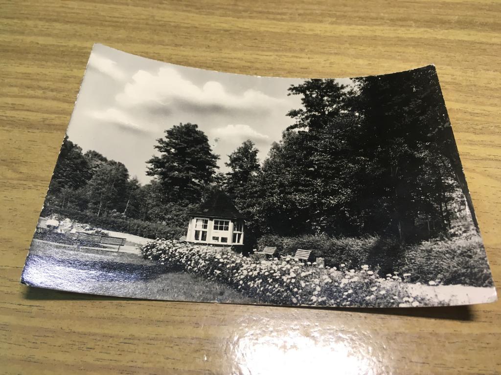 Открытка. Германия. Голландия. Фотостудия Гамбел. Фотооткрытка Германия.