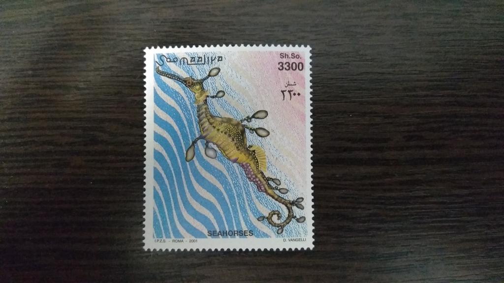 Марки.Фауна.Сомали.2001.Рыба-игла.Чистая.Михель 14,63 евро.Сост.идеальное