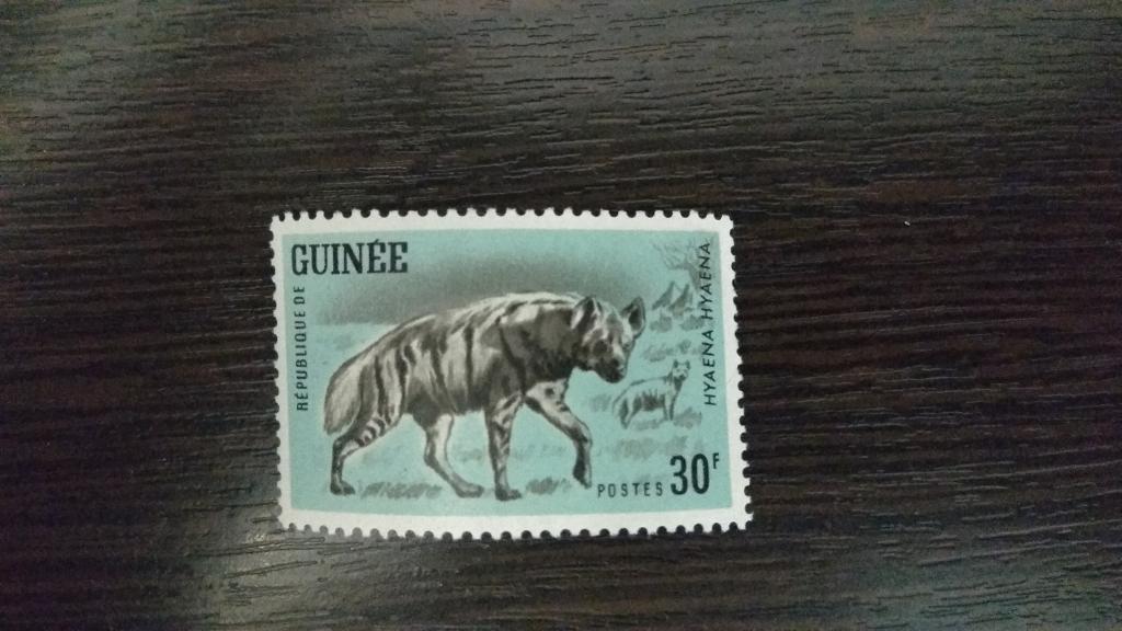 Марки.Фауна.Гвинея.1964.Гиены.Чистая.Михель 0,81 евро..Сост.идеальное