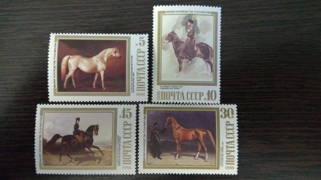Марки.Фауна.СССР.1988.Музей коневодства.Чистые.Михель 2,12 евро.Сост.идеальное