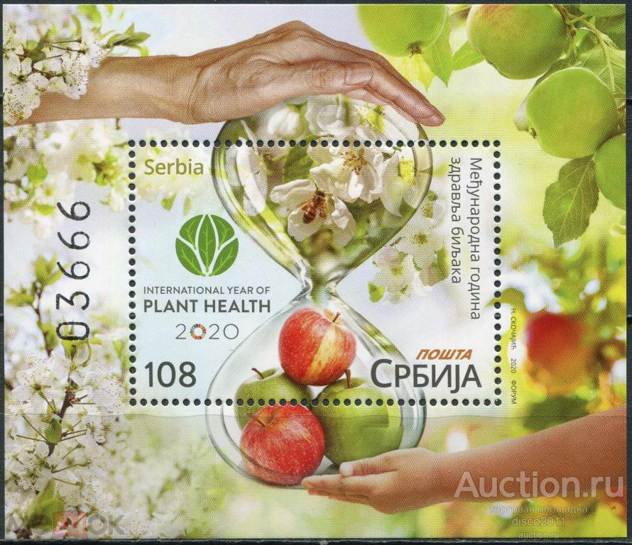 Сербия 2020 Пчела Пчёлы Насекомые Фауна Яблоки Плоды Флора бл**