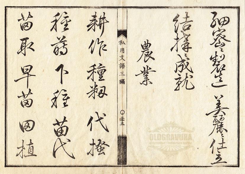 1850-е гг. Япония, иероглифы, каллиграфия, гравюра S5867