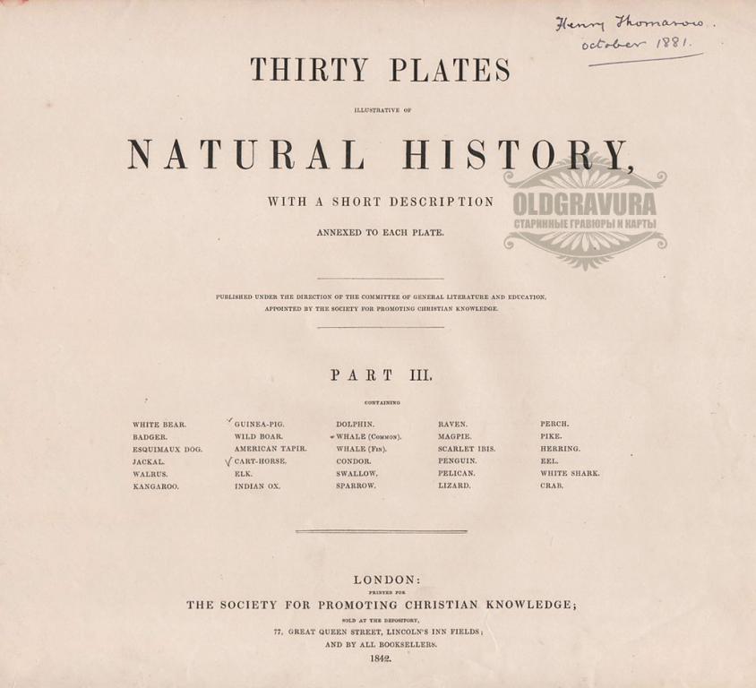 1842 год. Титульный лист Естественная история S22160