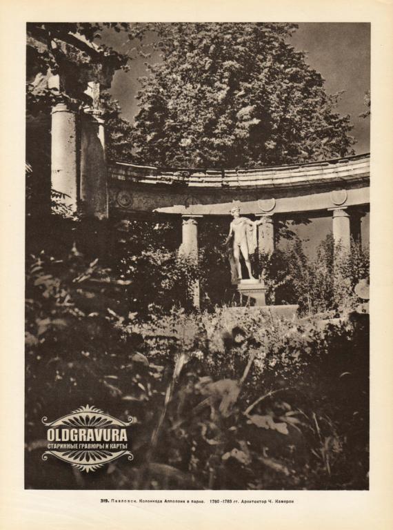 1957 год. Павловск, колоннада Апполона в парке S24319