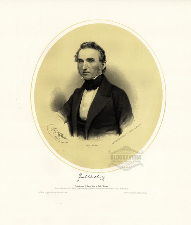 1856 год. Большая портретная литография S22207